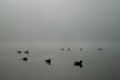 Pictures Of The Lost Lagoon, Canada Stock Photographs