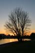 Sunset In Stanly Park, Canada Stock Photos