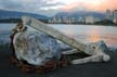 OLd Anchor, Canada Stock Photos