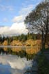 Fall, Lost Lagoon