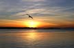 Ambleside Beach Sunset, West Vancouver Seascape