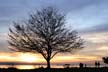 West Vancouver Ambleside Park, Canada Stock Photographs