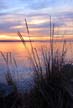 Ambleside Park, Canada Stock Photos