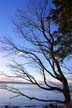 Winter. English Bay, Canada Stock Photographs