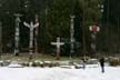 Winter Poles, Canada Stock Photographs