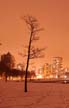 Downtown Winter Night, Canada Stock Photographs