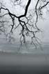 Lost Lagoon Winter, Canada Stock Photographs