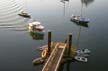 Aquabus, Canada Stock Photographs