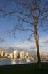 False Creek Charleson Park, Canada Stock Photographs