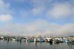 North Vancouver Shore, Canada Stock Photographs