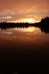 Beaver Lake Stanley Park, Canada Stock Photographs