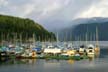 Deep Cove in fog, North Vancouver