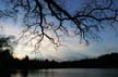 Trees Lost Lagoon, Canada Stock Photographs