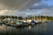 Burrard Inlet Boats, Stanley Park