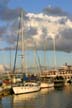 Burrard Inlet Boats, Stanley Park