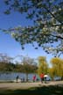 Lost Lagoon Spring, Stanley Park