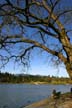 Lost Lagoon Spring, Stanley Park