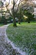 Spring Blossoms, Stanley Park