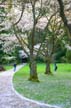 Springtime, Stanley Park