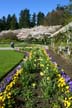 Garden Flowers, Canada Stock Photographs