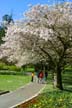 Springtime, Stanley Park