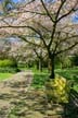 Springtime, Stanley Park