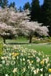 Springtime, Stanley Park