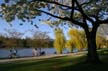 Bikers And Willows, Stanley Park