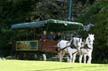 Horse-Drawn Tours, Stanley Park