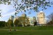 Blossoms, Canada Stock Photographs