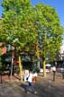 Historic Gastown, Downtown Vancouver