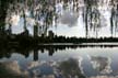 Lost Lagoon, Stanley Park