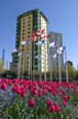 Downtown Vancouver, Canada Stock Photographs