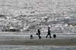 Rough Waves At White Rock, Canada Stock Photos