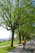 Cycling At English Bay, Downtown Vancouver