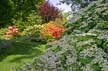 VanDusen Botanical Garden, Vancouver