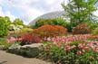 Queen Elizabeth Park, Vancouver Gardens