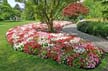 Queen Elizabeth Park, Vancouver Gardens