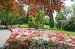 Queen Elizabeth Park, Vancouver Gardens