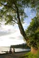 Jogging At Stanley Park Seashore, Canada Stock Photos