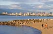 Downtown Skyline, Vancouver