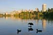 Lost Lagoon, Stanley Park