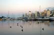 Swimming On The Burrard Inlet, Canada Stock Photos