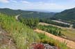 Cypress Mountain, Stock Photos