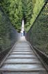 Lynn Canyon Suspension Bridge, Canada Stock Photographs