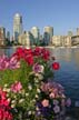 False Creek, Canada Stock Photos