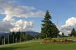 Burnaby Mountain Park, Canada Stock Photos