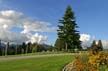 Burnaby Mountain Park, Canada Stock Photos