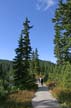 Cypress Mountain, Stock Photos