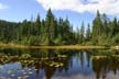 Cypress Mountain, Stock Photos